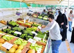 أسواق المنتج الزراعي المحلي في موسم 2026 وتقريب المزرعة من المستهلك